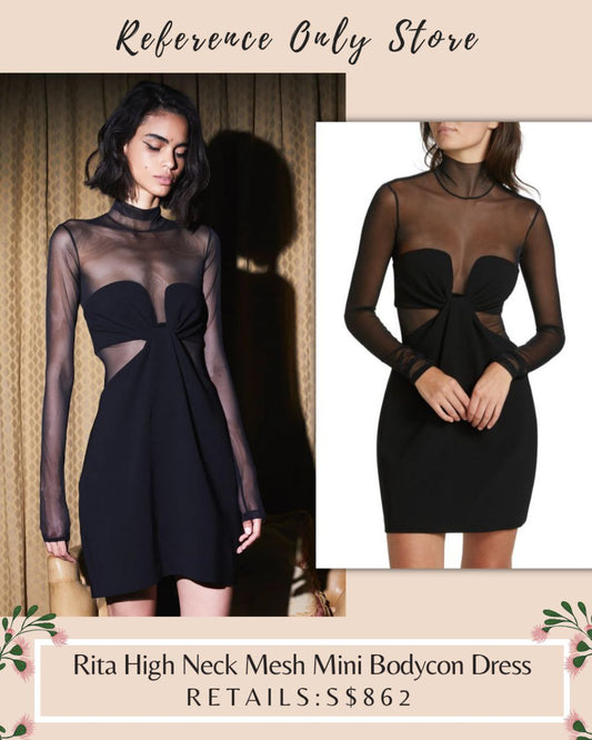Alc Rita High Neck Mesh bodycon mini dress