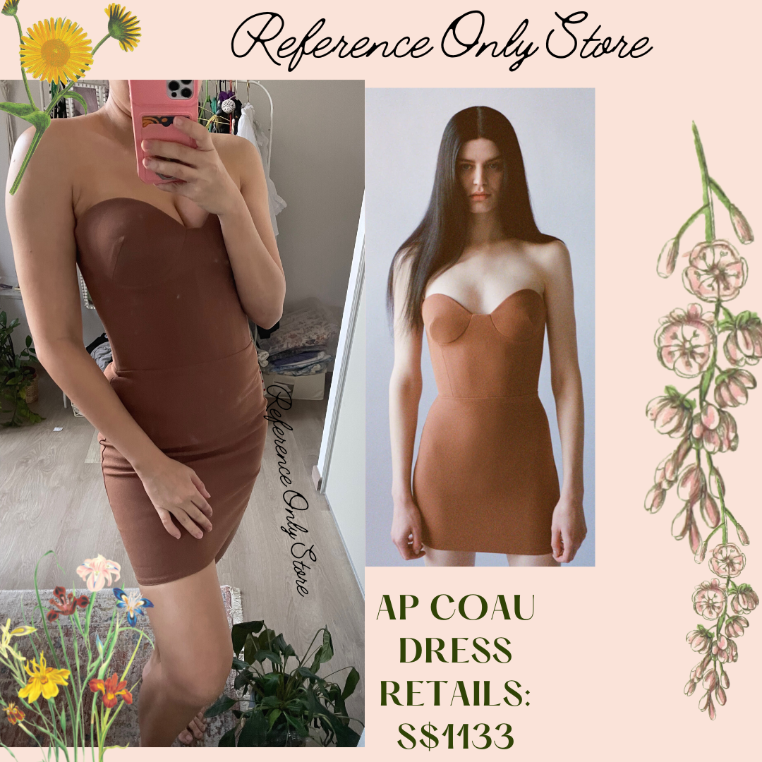 Readystock! AP Clay Mini Dress in Brown