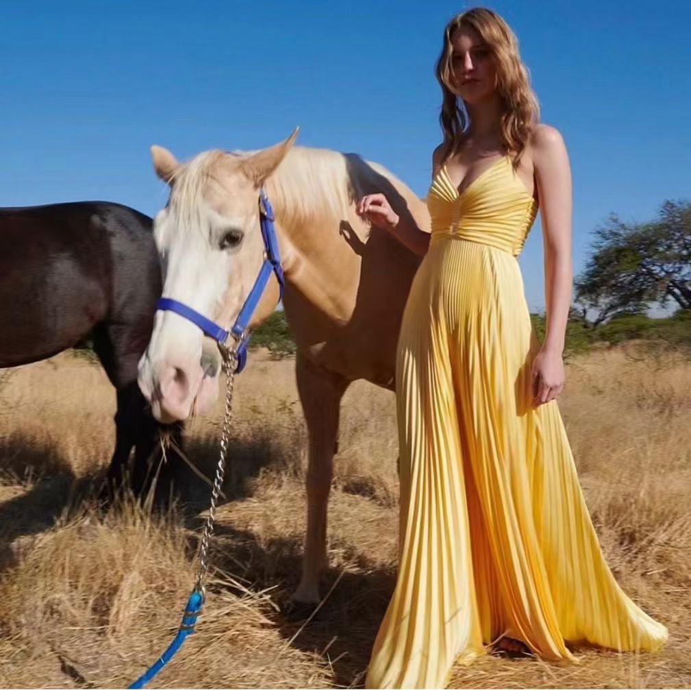 Alc Aries Pleated Maxi Dress