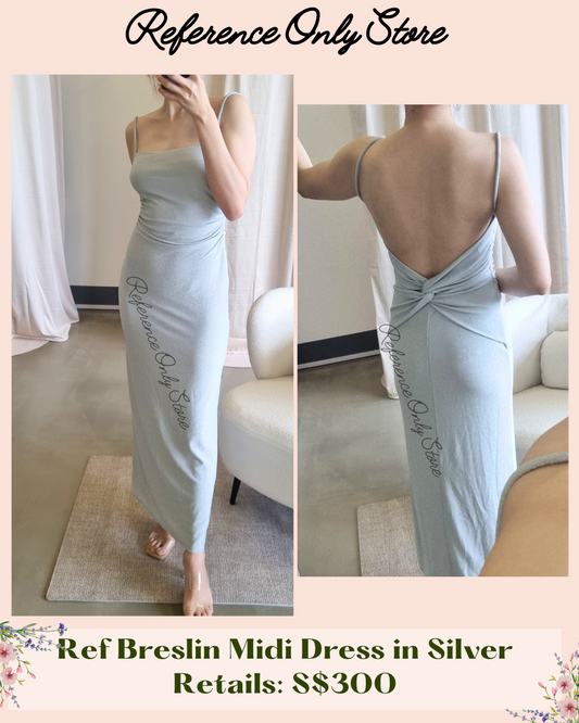 Ref Breslin Midi Dress in Silver