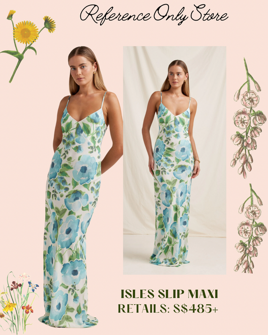PNY Isles blue floral maxi slip dress