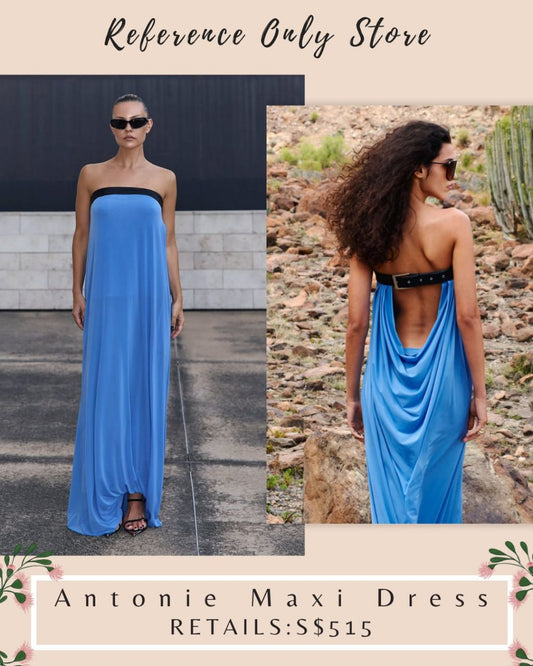 RB Antonie blue maxi dress