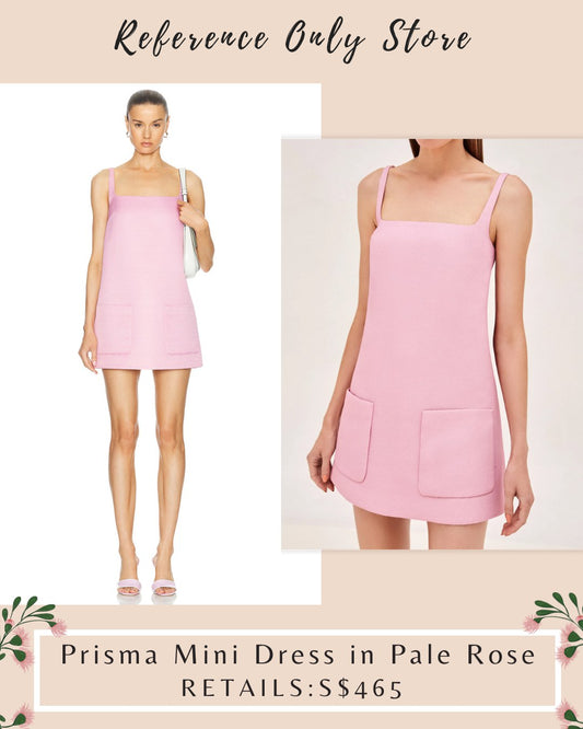 ALX Prisma Mini Dress in pale rose