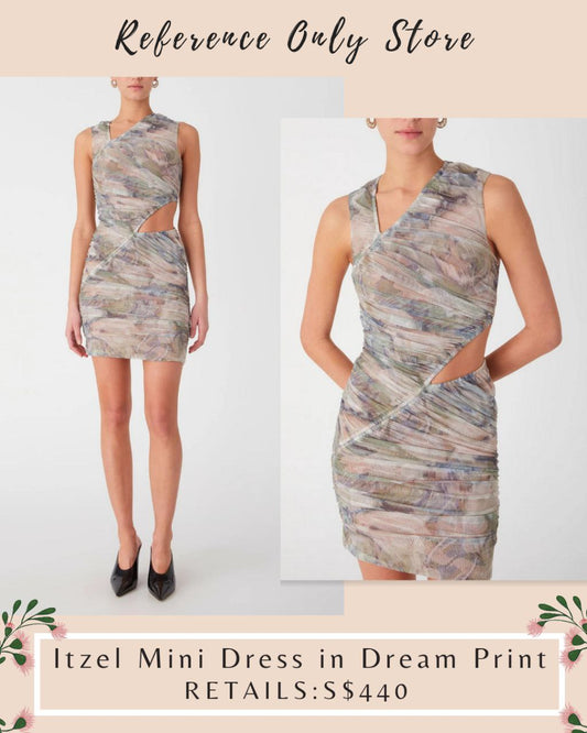 MS Itzel Mini Dress in Dream Print